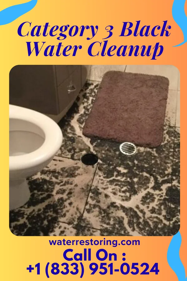 Category 3 Black Water Cleanup in Martin, GA
