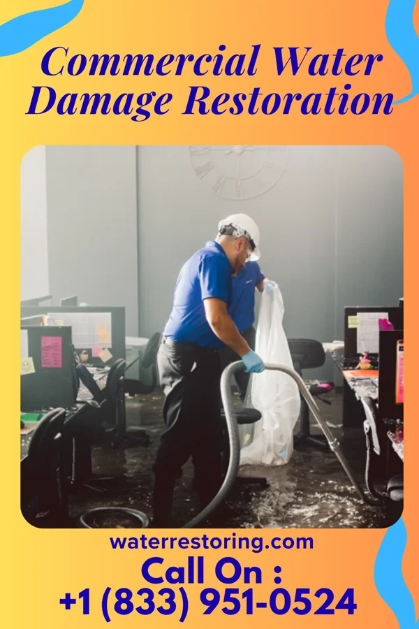 Commercial Water Damage Restoration in Martin, GA