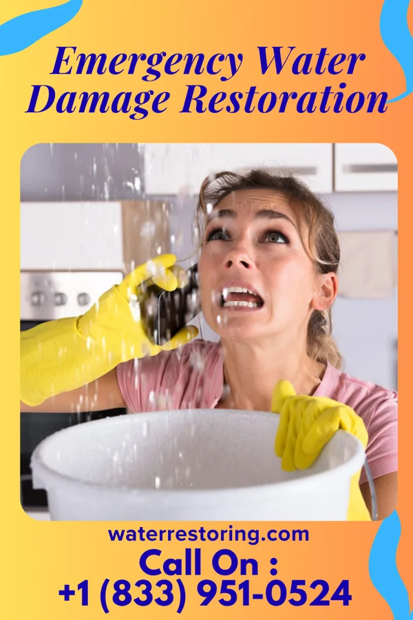 Emergency Water Damage Restoration in Martin, GA