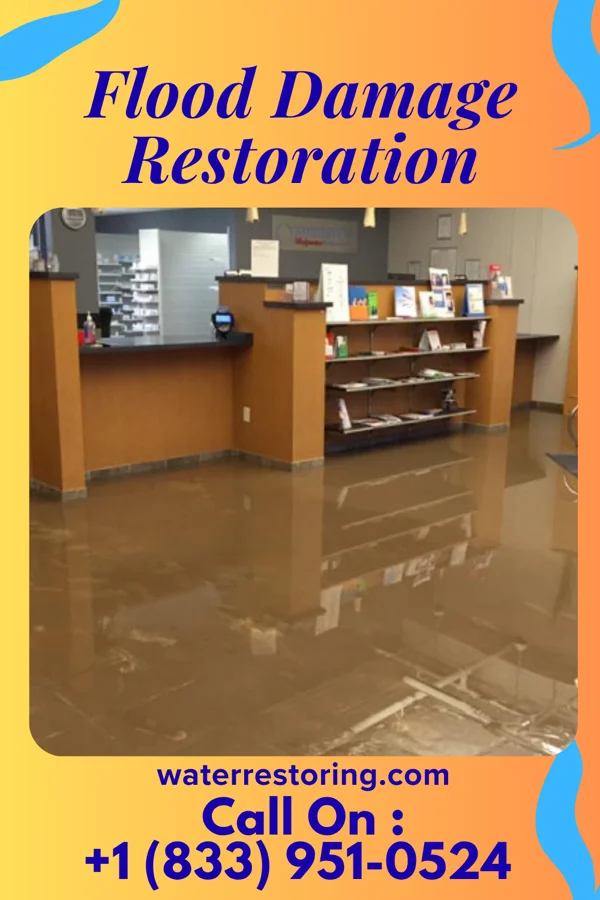 Flood Damage Restoration in Martin, GA