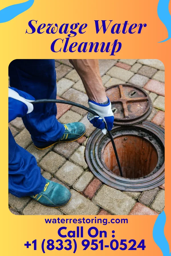 Sewage Water Cleanup in Martin, GA