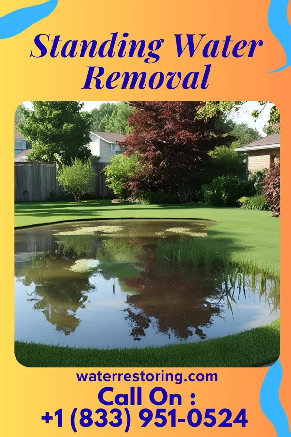 Standing Water Removal in Martin, GA